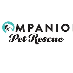 Companion Pet Rescue at Black Hog Brewing, Oxford