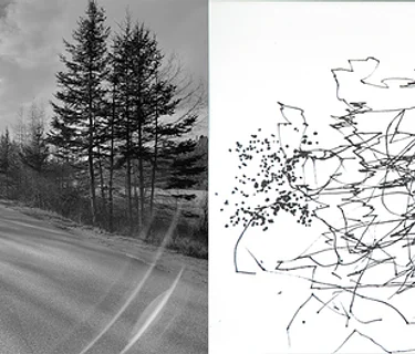 RICPA x GMP Member Meetup!