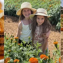Breakfast At The Farm: Pancakes & Pumpkins | 9:00-11:00AM