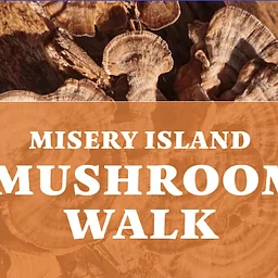 Misery Island Mushroom Walk