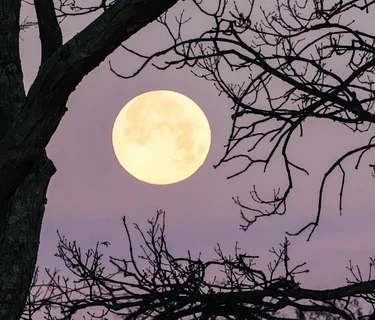 Spring Equinox Moonlight Walk 