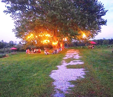 Bluegrass Jam Session!