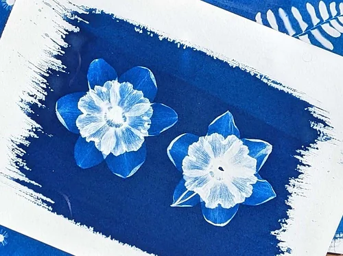 Botanical Sun Printing: Section B