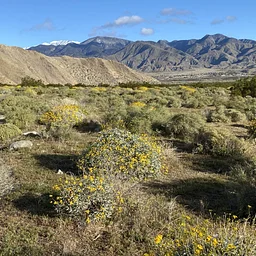 26th Anniversary Hike – SRSJM National Monument