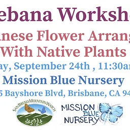 Ikebana Workshop: Japanese Flower Arranging With Native Plants