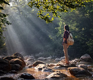 Rewilding Hike