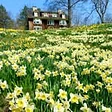 Reeves-Reed Arboretum