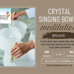 Crystal Sound Bath with Cats