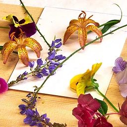 Printing Botanical Design