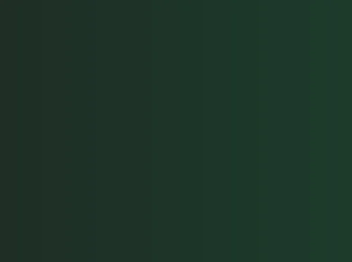 Doom Scroll, The Afterlife Party, Old Scratch & The Holy Mess