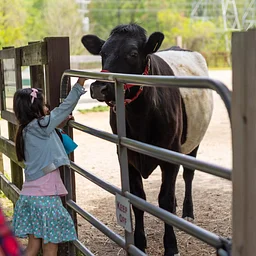 November Family Farm Tour