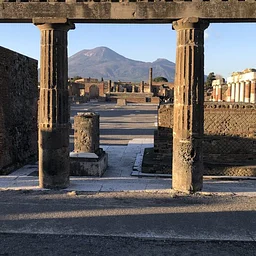 Excavating at Pompeii: An Archeologist’s Career in Ruins