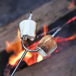 Stars, Stories & S’mores