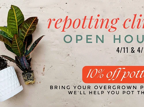 Houseplant Repotting Open House