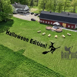 Yoga and Cider with 3 Bridges (Halloween Edition)