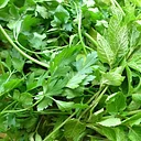 Cooling Herbs and Vegetables for Summer with Master Gardener Mary Wheatley