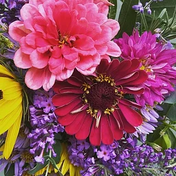 Locally Grown Hand-Tied Bouquets