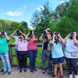 Birding: Migration Preparation