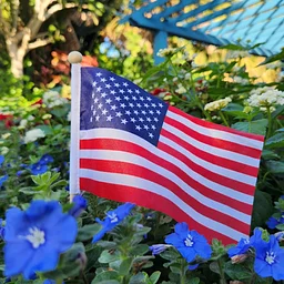 Veterans Day Appreciation