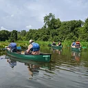 Summer Wildflowers Canoe