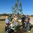 Arbor Day