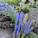 Lavender Wands