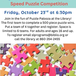 Puzzle Palooza