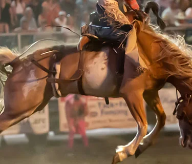 Idaho High School Rodeo State Finals