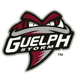 vs. Guelph Storm
