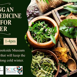 Building an Herbal Medicine Chest for Winter