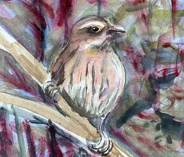 Drawing and Painting Birds with Chris Selin