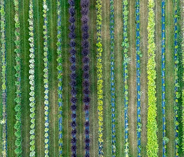 Our Working Lands: Photography by Caleb Kenna