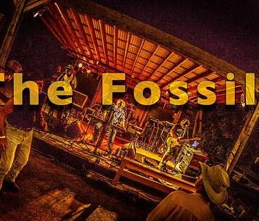 The Fossils