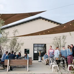 Chamisal Vineyards