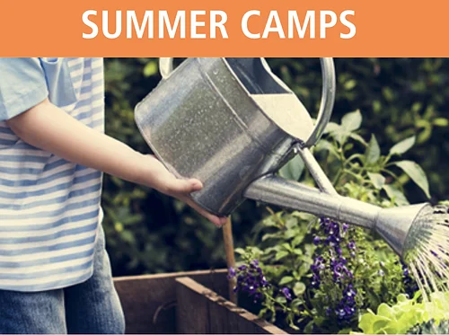 Wilderness Rangers Summer Camp 6.8-6.12