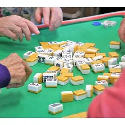 Hong Kong Style Mahjong for Beginners