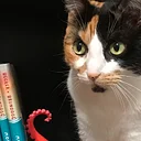 Storytime with Author Lynn Becker