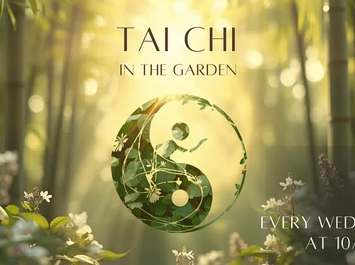 Tai Chi in the Garden
