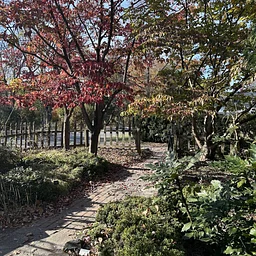 Gardener’s Workshop: Gardening in Late Fall