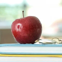 Back-to-School Scavenger Hunt