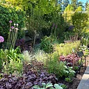 Flower Hour: Habitats at Home