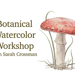 Botanical Watercolor Painting with Sarah Crossman