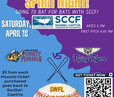 Going to Bat for Bats: Mighty Mussels Game to Support SCCF