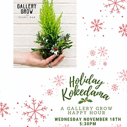 Holiday Kokedama Workshop