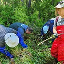 Family Friendly Beaver Works Restoration Day in Ochoco National Forest