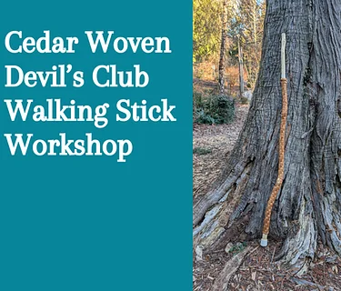Cedar Woven Devil’s Club Walking Stick Workshop
