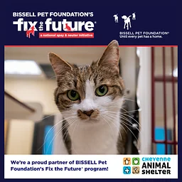 November BISSELL Spay Day - Cats Only