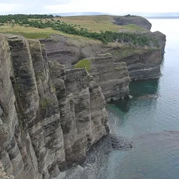 Chasing the Cambrian Explosion: How the Fossils of Newfoundland Defined the Greatest Biological Revolution in Earth History