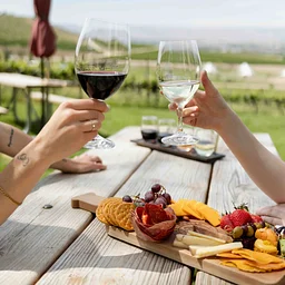 Nampa Wine and Cider Festival