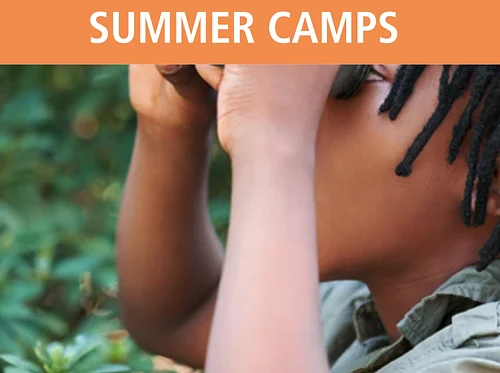 Dragons in the Garden Summer Camp 8.10-8.14